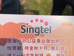 -前小桔亲子创意农场·草莓采摘·露营烧烤