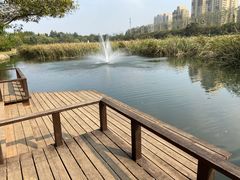 -前关湿地公园