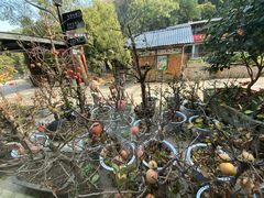 -天怡·鱼工厂(梅溪湖店)