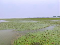 -洪泽湖古堰景区