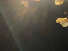 -梧桐树下(云锦世家店)