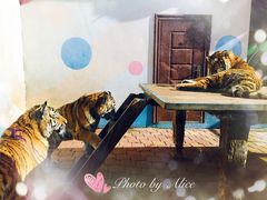 -大连森林动物园