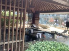 -中家鑫园温泉酒店鑫悦汤泉