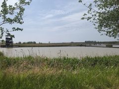 -盐城丹顶鹤湿地生态旅游区