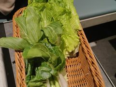 -百年果林椰子鸡(益田假日里店)