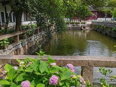 -苏州文庙(姑苏区)