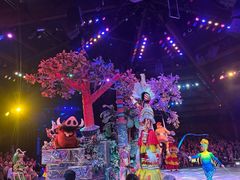 -奥兰多迪士尼动物王国乐园