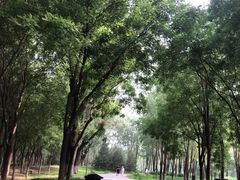 -东郊湿地公园
