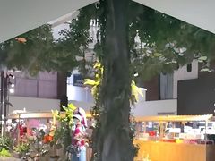 -云腾食府·云南菜