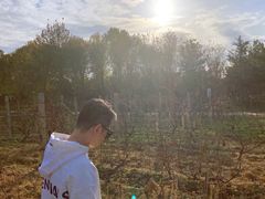 -安德鲁户外烧烤帐篷营地(马泉营店)