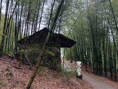 -藏龙百瀑风景区