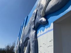 -大青山野生动物园
