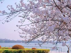 -蠡湖大桥公园