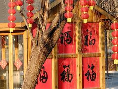 -长田漾湿地公园