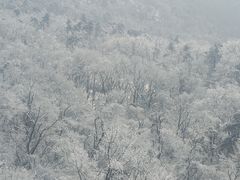 -紫金山索道-售票处