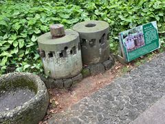 -海口火山口国家地质公园