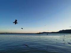 -云南滇池花园国际大酒店温泉