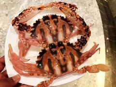 -瑞德姆美人鱼海底演艺主题餐厅(亚龙湾店)