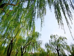 -丰台花园