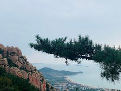 -海合安青岛极地海洋公园
