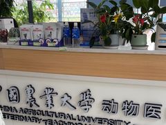 -中国农业大学动物医院
