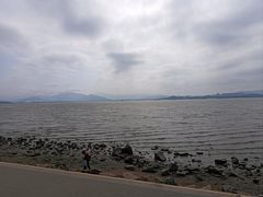 -深圳湾公园(南山区)