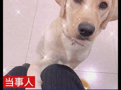 -Olé精品超市(广州太古汇店)