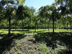 -永定河休闲森林公园