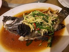清蒸老虎斑-拉威海鲜市场