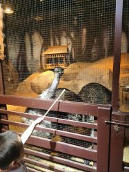 -酷嗒动物文化乐园(cutezoo西溪乐天城店)