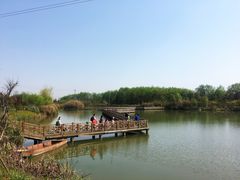 -桤木河湿地公园