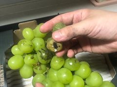 -果蔬好生活超市(乐堤港店)