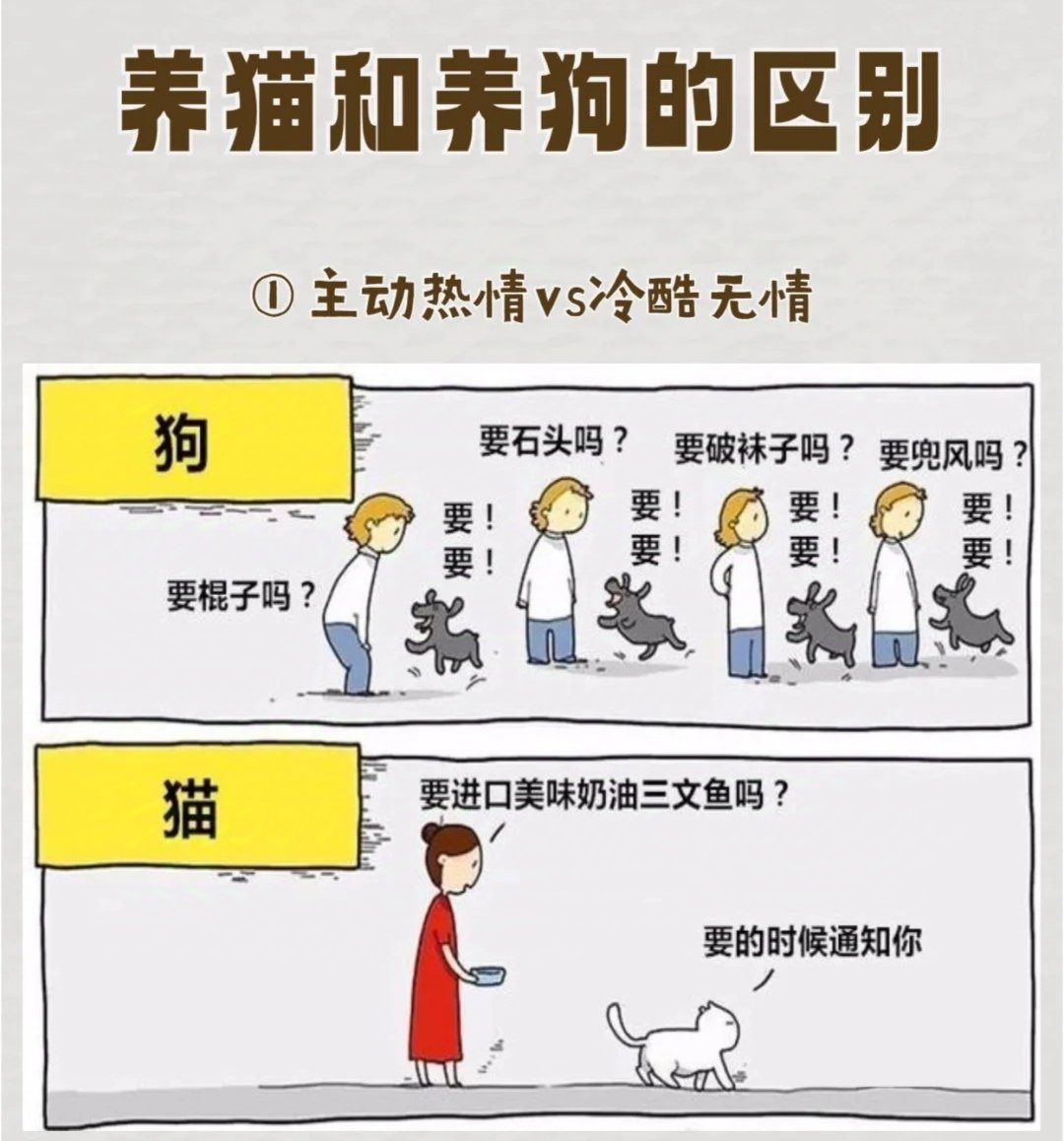 养猫和养狗的区别