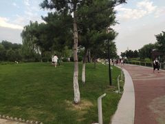 -莫子山公园