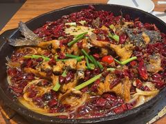 -老板恋上鱼(恒隆广场店)