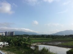 -谭仔云南米线(粉岭车站路店)