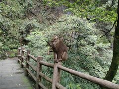 -峨眉山风景名胜区