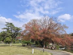 -江心屿景区