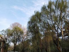 -西安市长乐公园
