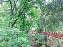 -素山寺森林公园