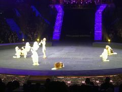 -珠海横琴长隆《卡卡虎奇遇记》