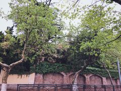 -青岛市江苏路基督教堂