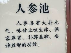 -英德宝晶宫天鹅湖茶语温泉