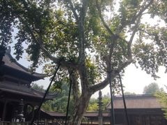 -钱王祠