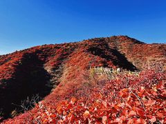 -水峪民俗村
