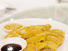 阳山大扇鸡-渔鸽皇酒楼(鸿大广场店)