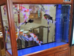 -东来菜馆•手抓海鲜家常菜•海鲜锅贴(鸽子窝店)