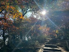 -岳麓山风景名胜区