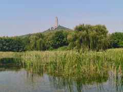 -北坞公园