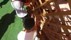 -萌宠亲子动物乐园(槐房万达店)